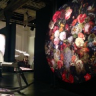Moooi carpets Collection